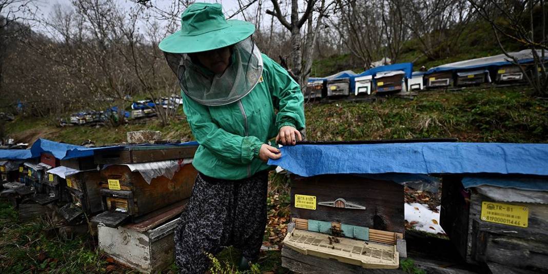 45 yıldır ata mesleğini sürdürüyor! Eğitim ve destekle işini büyüttü: Yılda 1 ton üretime ulaştı 3